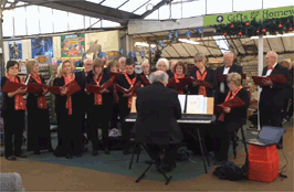 Mary Singing a Lullaby